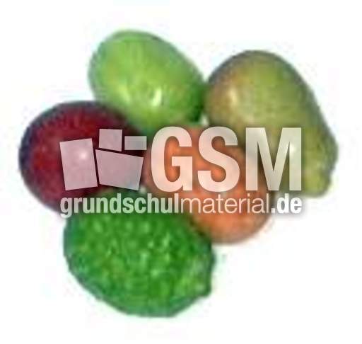 W-Früchte-1x5.jpg